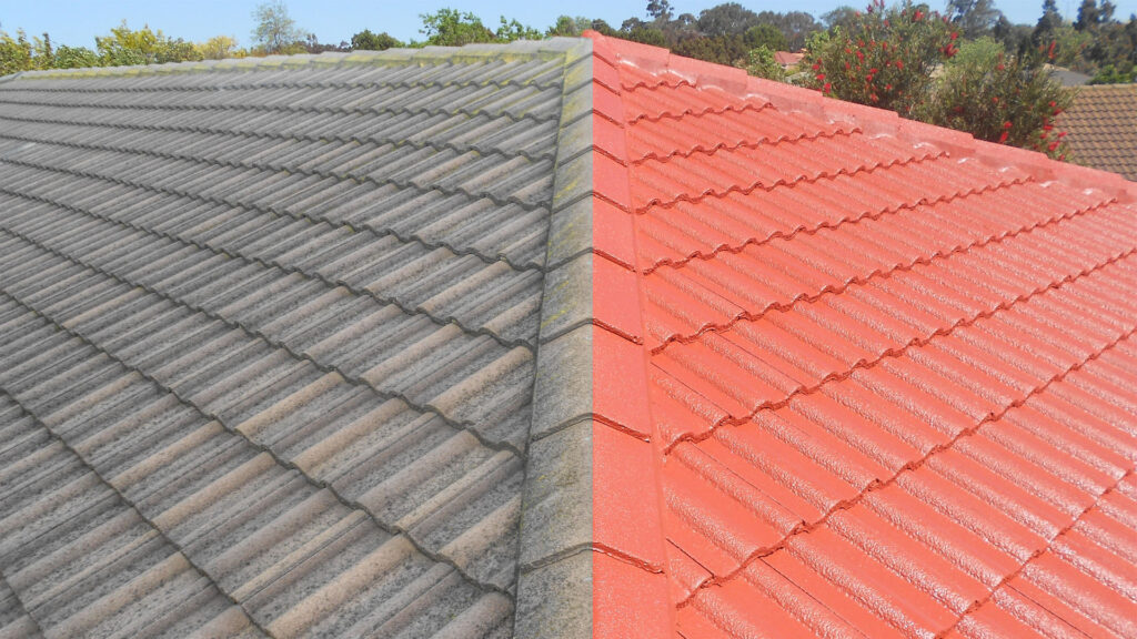 Depannages Express Avr Roof Painting Services4